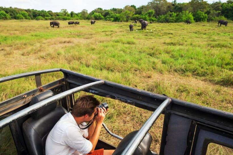 from-colombo-4-day-sri-lanka-tour-with-elephant-orphanage