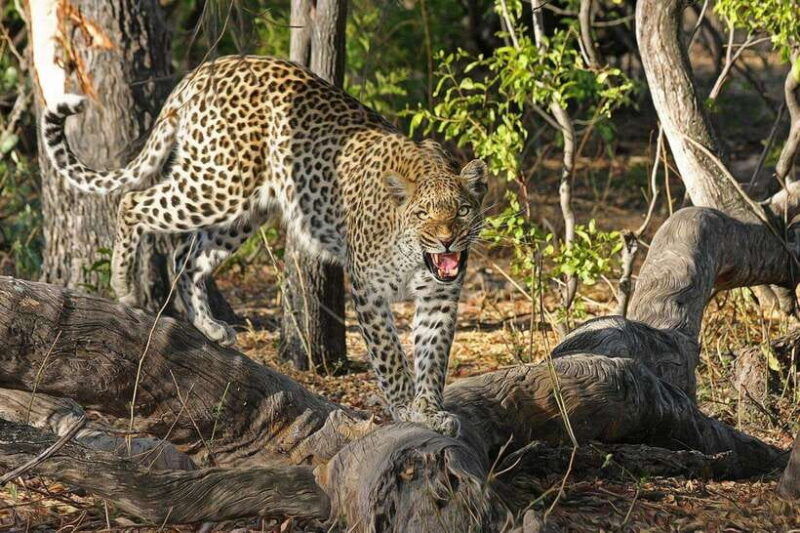 from-colombo-4-day-tour-with-car-guide-meals-hb-hotels