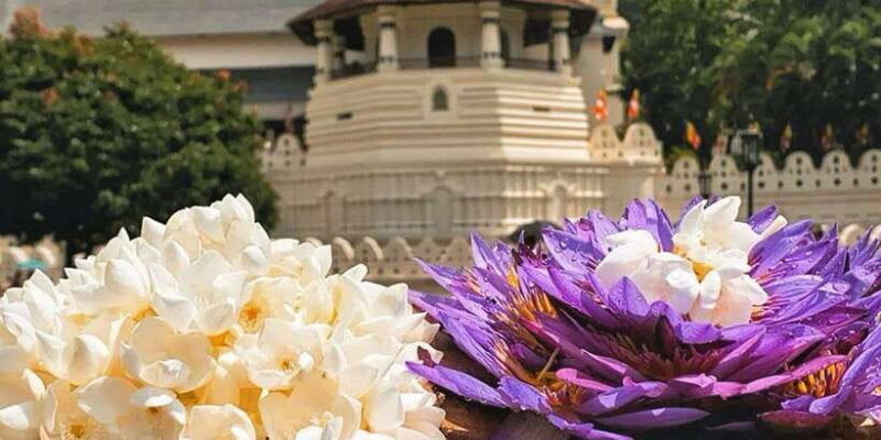from-colombo-kandy-pinnawala-orphanage-short-excursions