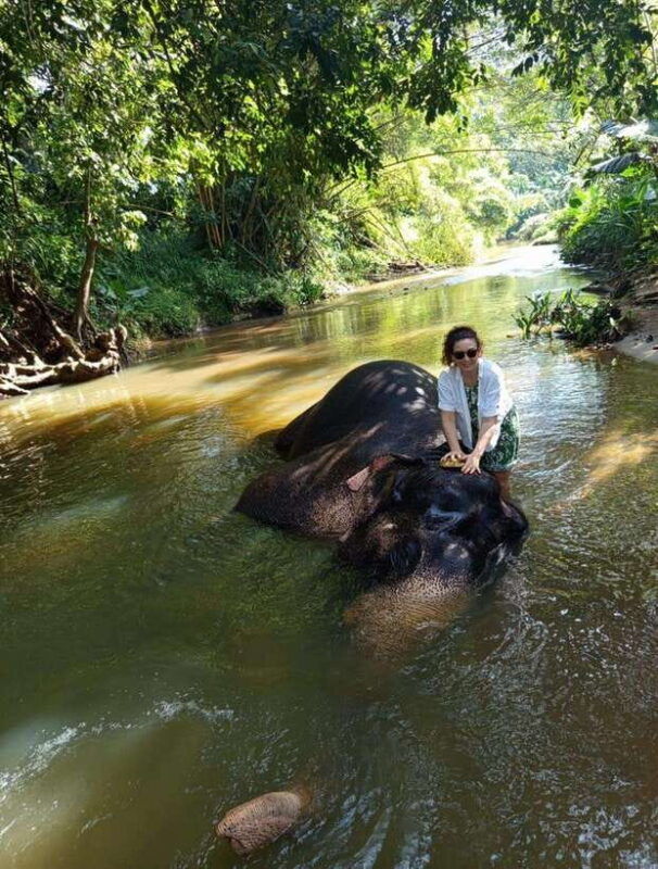 from-colombo-or-negombo-pinnawala-kandy-tea-factory-tour