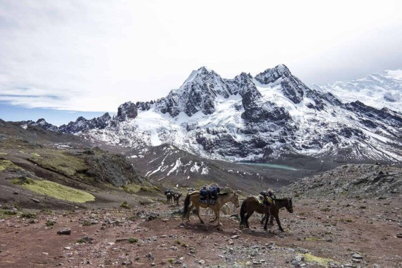 from-cusco-ausangate-route-7-lagoons-tour-meals