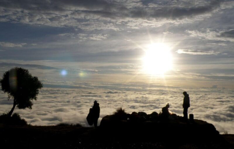 from-cusco-manu-tree-house-4-days-3-nights-2