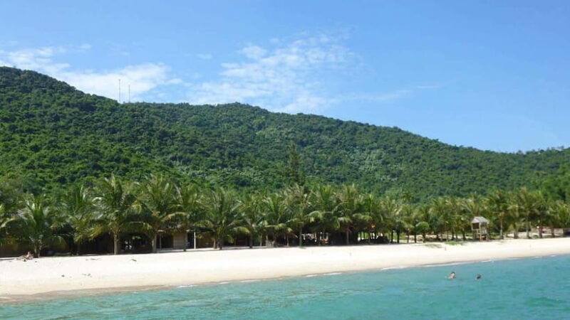 from-da-nang-cham-island-day-trip