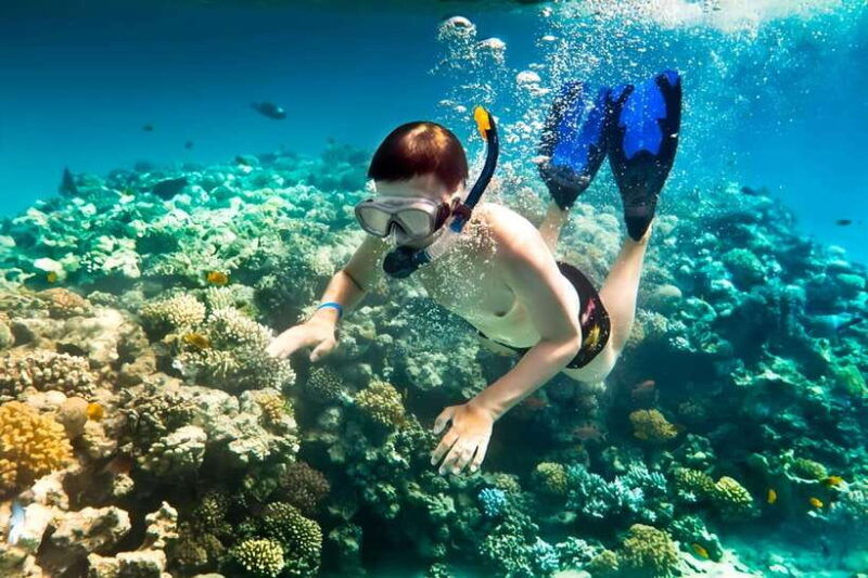 from-da-nang-hoi-an-cham-islands-tour-with-snorkeling