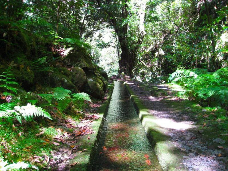 from-funchal-sao-jorge-valleys-levada-walk