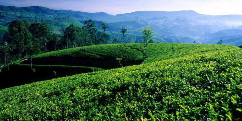 from-galle-weligama-mirissa-day-trip-to-ella-highlands