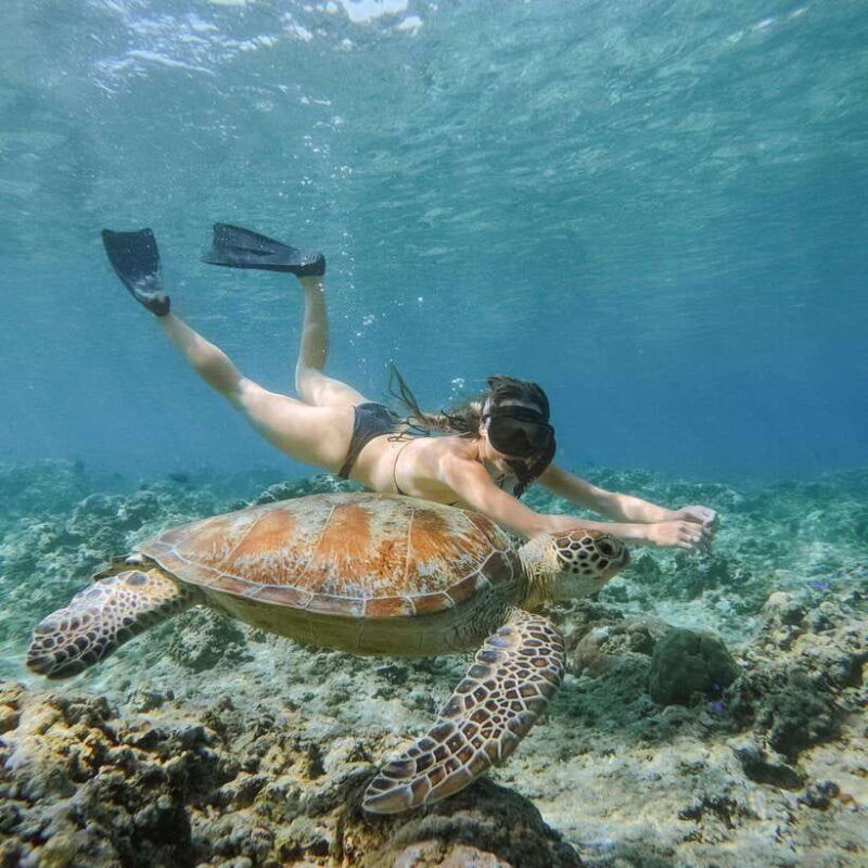from-gili-meno-private-snorkeling-with-turtle-statue