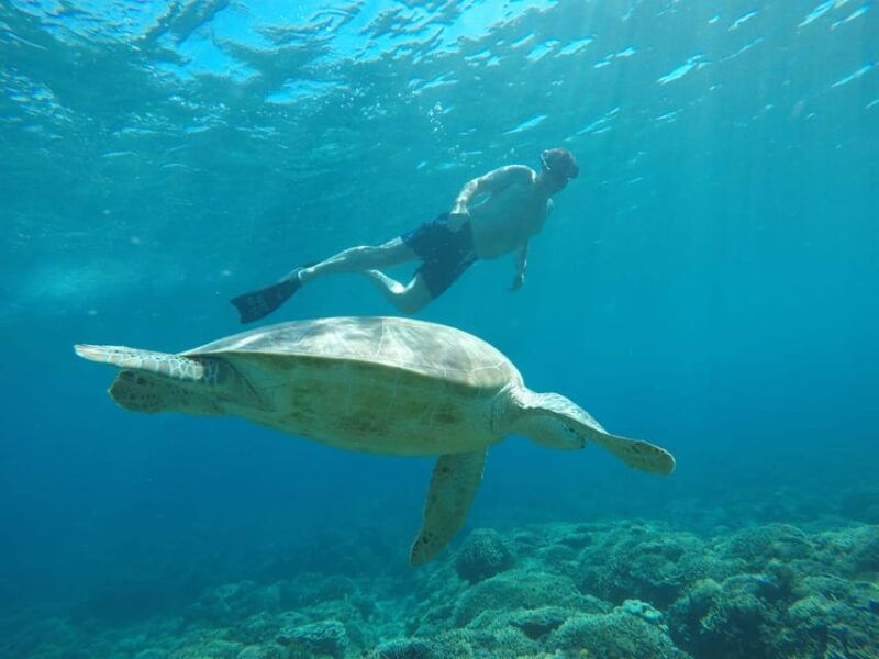 from-gili-trawangan-small-group-sunset-snorkeling-tour