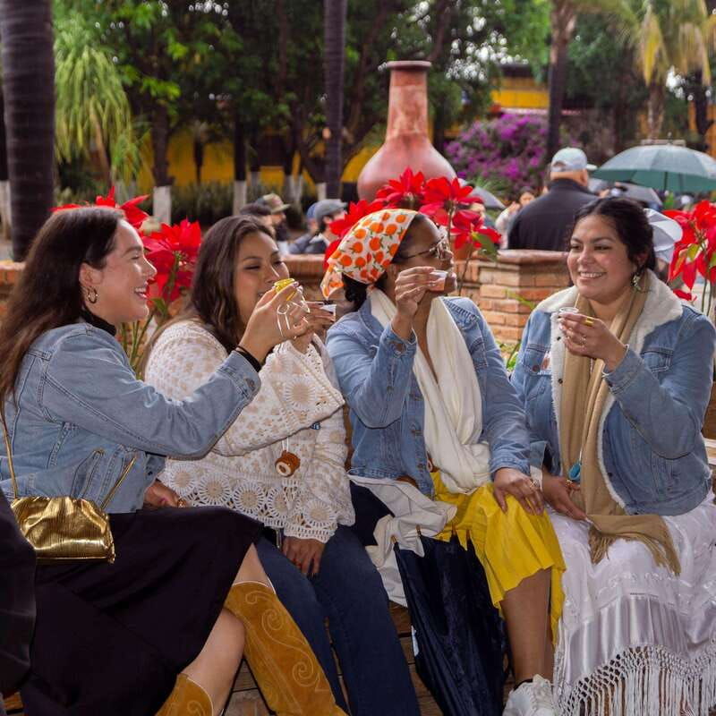 from-guadalajara-tequila-factory-and-panoramic-swing-tour-2