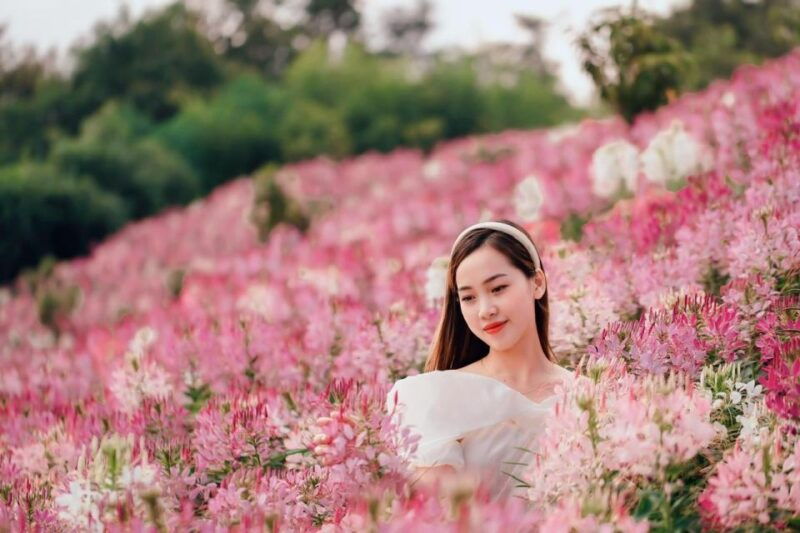 from-hanoi-2-day-sapa-fansipan-and-muong-hoa-valley-tour-2