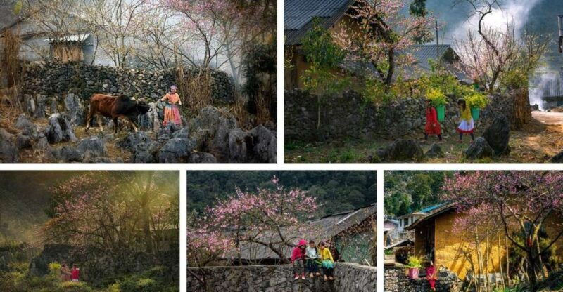 from-hanoi-ha-giang-loop-3-days-3-nights-with-easy-rider