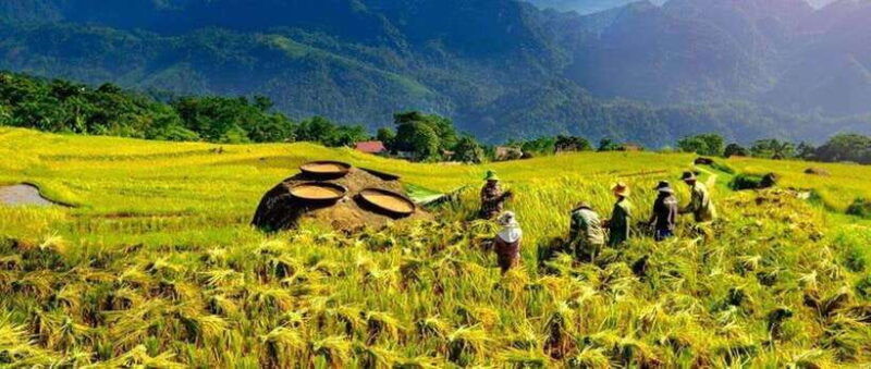 from-hanoi-mai-chau-pu-luong-ninh-binh-3-day-tour