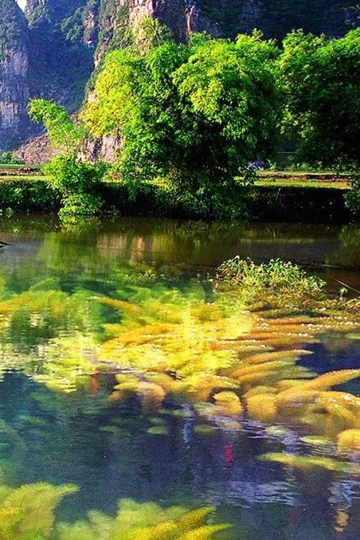 from-hanoi-trang-an-boat-bai-dinh-pagoda-mua-cave-tour-3