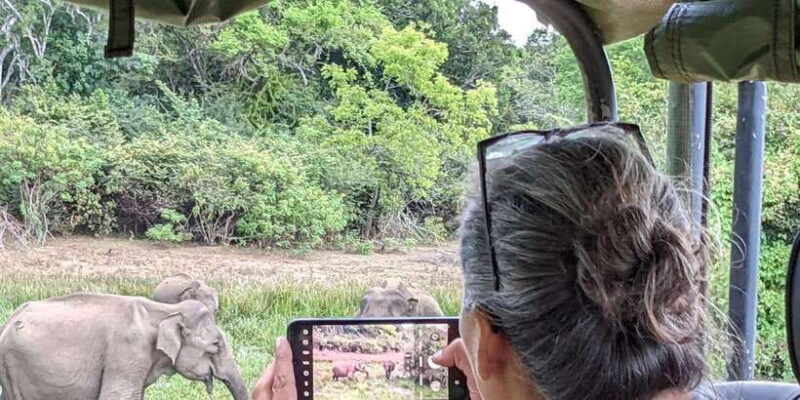 from-hikkaduwa-galle-mirissa-yala-national-park-safari