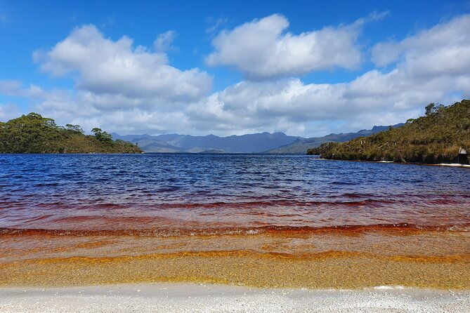 From Hobart: Gordon Dam and Lake Pedder Wilderness Day Tour - Key Points