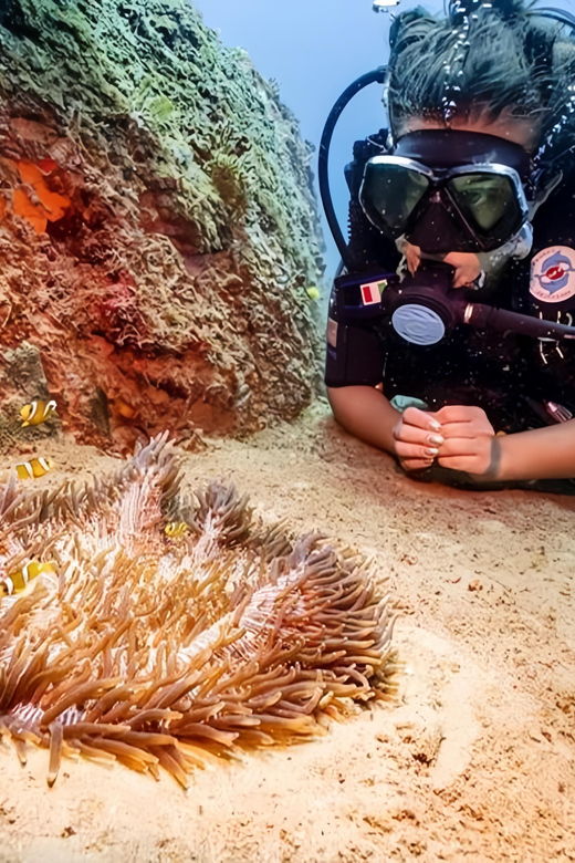 from-hoi-an-da-nang-swimming-snorkeling-in-cham-islands