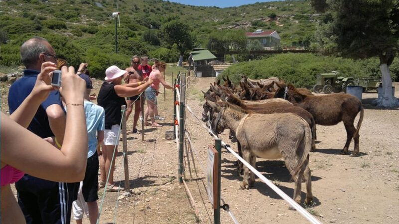 from-izmir-full-day-boat-trip-around-cesme-with-bbq-lunch