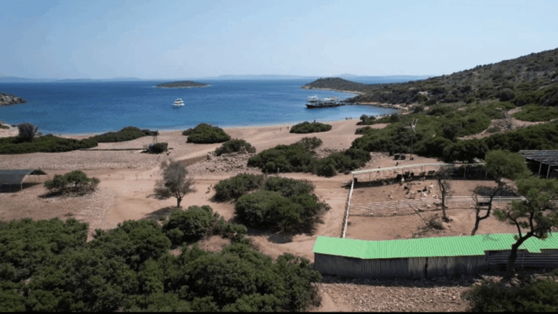 from-izmir-full-day-boat-trip-around-cesme-with-bbq-lunch