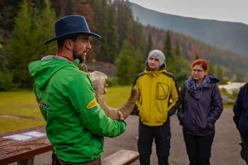from-jasper-jasper-national-park-wildlife-discovery-tour