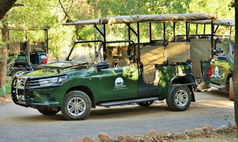 from-johannesburg-pilanesberg-nature-reserve-game-safari