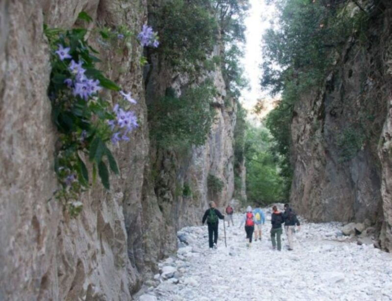 from-kalamata-ridomo-gorge-hiking-tour-with-greek-coffee
