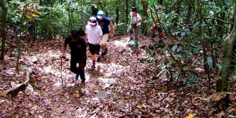 from-kandy-bird-watching-tour-to-udawatte-kele-sanctuary