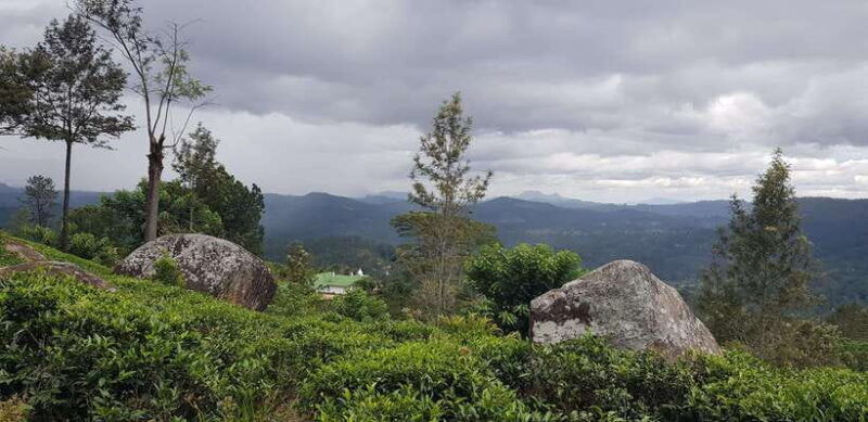 from-kandy-nuwara-eliya-day-tour-with-private-transfers
