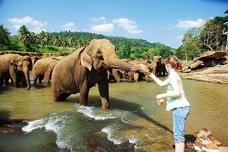 from-kandy-to-sigiriya-pinnawala-day-return-tour-by-car
