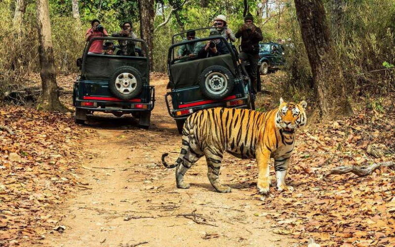 from-kathmandu-pokhara-2-3-or-4-day-chitwan-jungle-safari