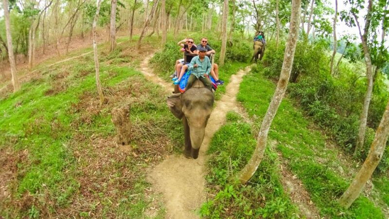 from-kathmandu-pokhara-3-day-all-inclusive-chitwan-safari