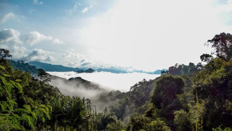 from-khao-lak-day-trip-to-khao-sok-with-elephant-camp-visit