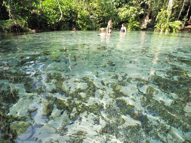 from-khao-lak-khao-sok-cheow-lan-lake-and-emerald-pool-tour