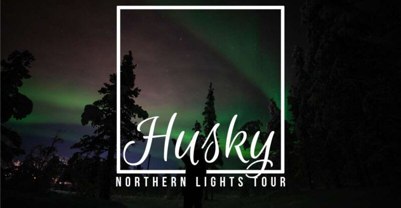 from-kiruna-northern-lights-guided-husky-sledding-adventure