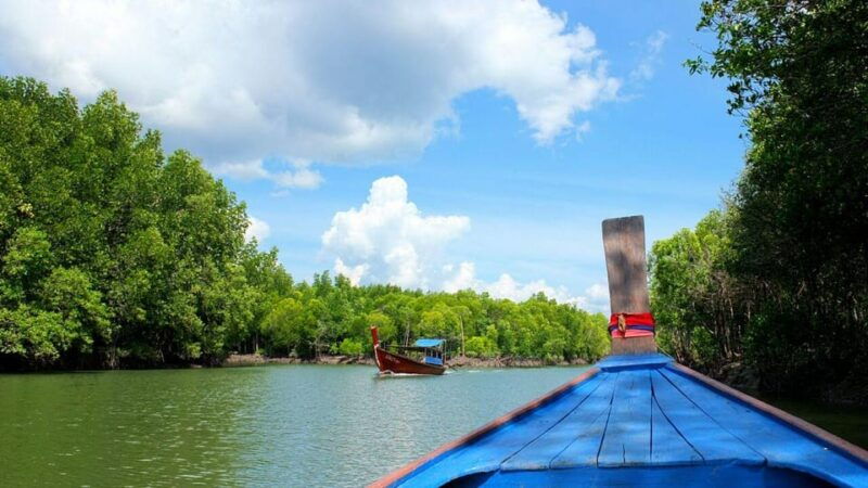 from-ko-lanta-mangrove-eco-excursion-by-longtail-boat