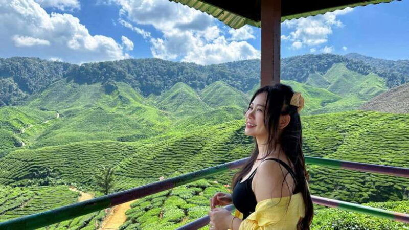 from-kuala-lumpur-cameron-highlands-day-tour-with-lunch