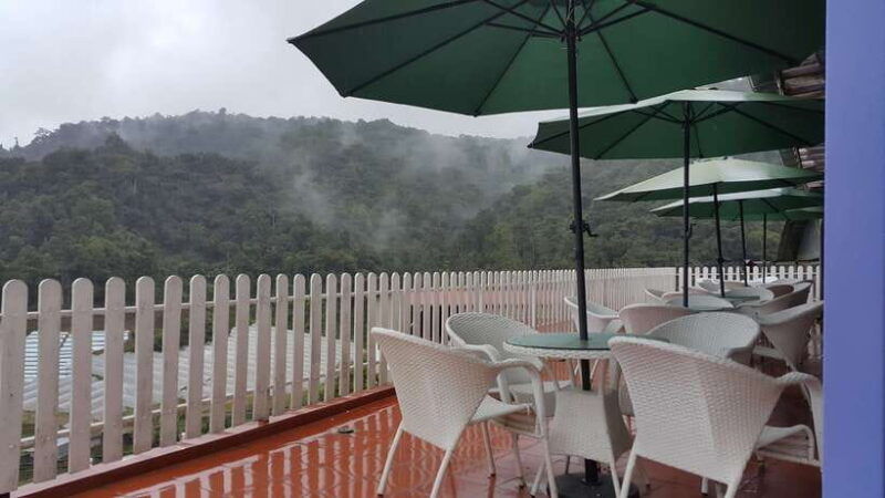 from-kuala-lumpur-cameron-highlands-full-day-tour