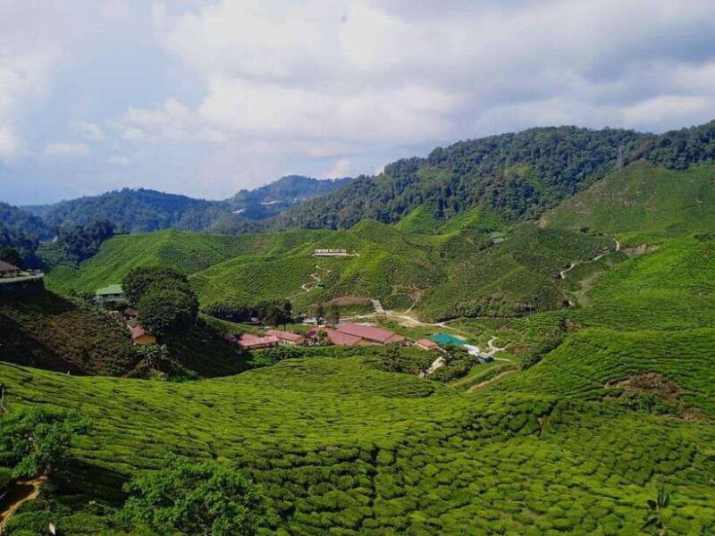 from-kuala-lumpur-cameron-highlands-private-or-join-in-tour