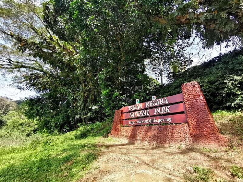 from-kuala-lumpur-full-day-tour-to-taman-negara