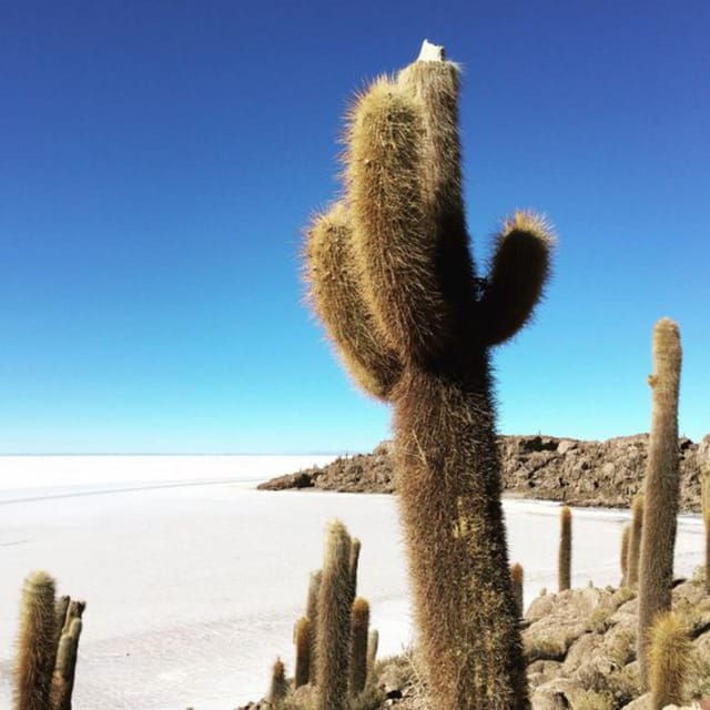 from-la-paz-3-day-trip-to-la-paz-and-the-uyuni-salt-flats