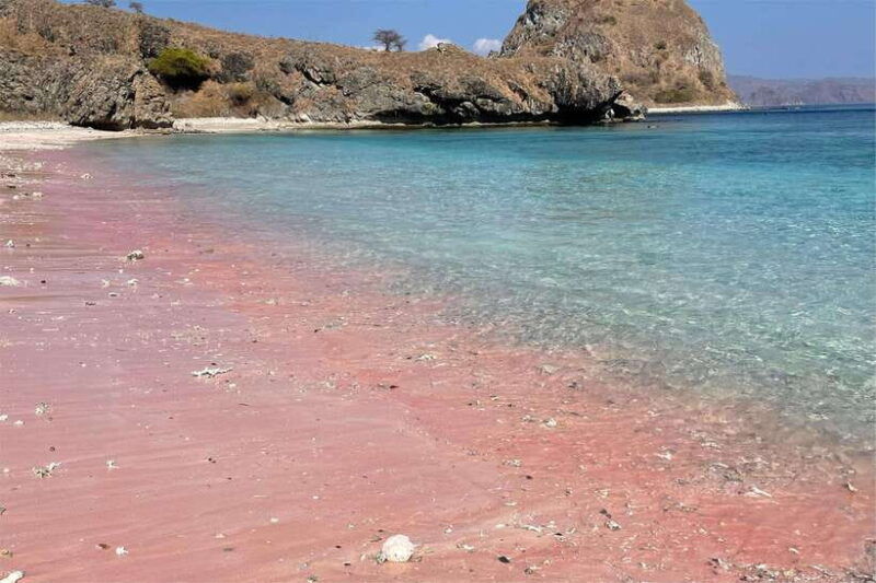 from-labuan-bajo-komodo-dragons-and-island-hop-with-all-fee