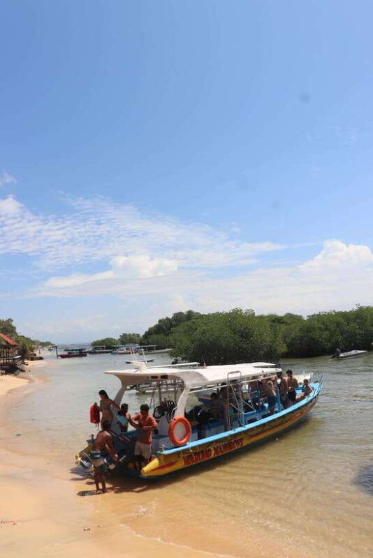 from-lembongan-snorkeling-3-spots-mangrove-and-land-tour