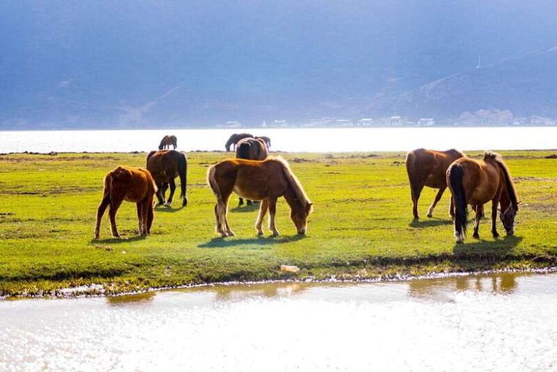 from-lijiang-6-day-lijiang-to-shangri-la-adventure-tour