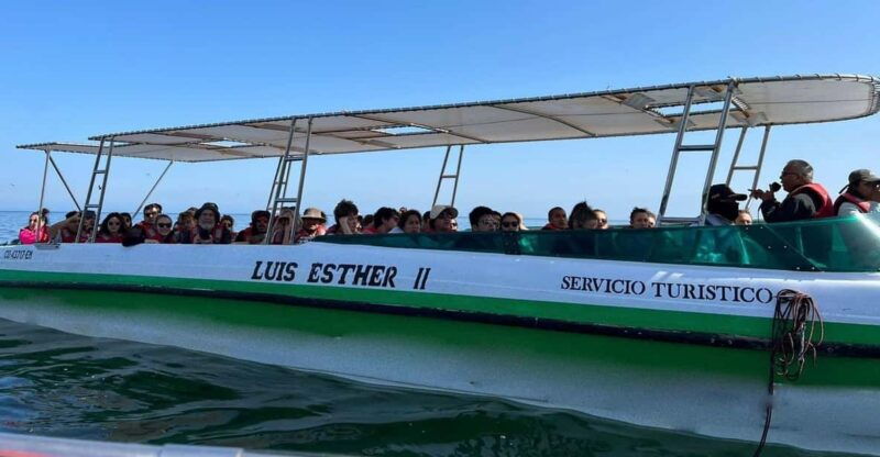 from-lima-full-day-paracas-ica-2