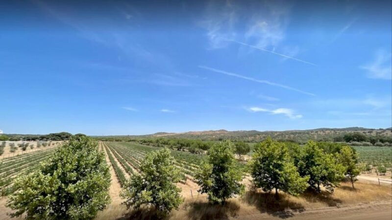from-lisbon-evora-cathedral-bones-chapel-wine-tasting