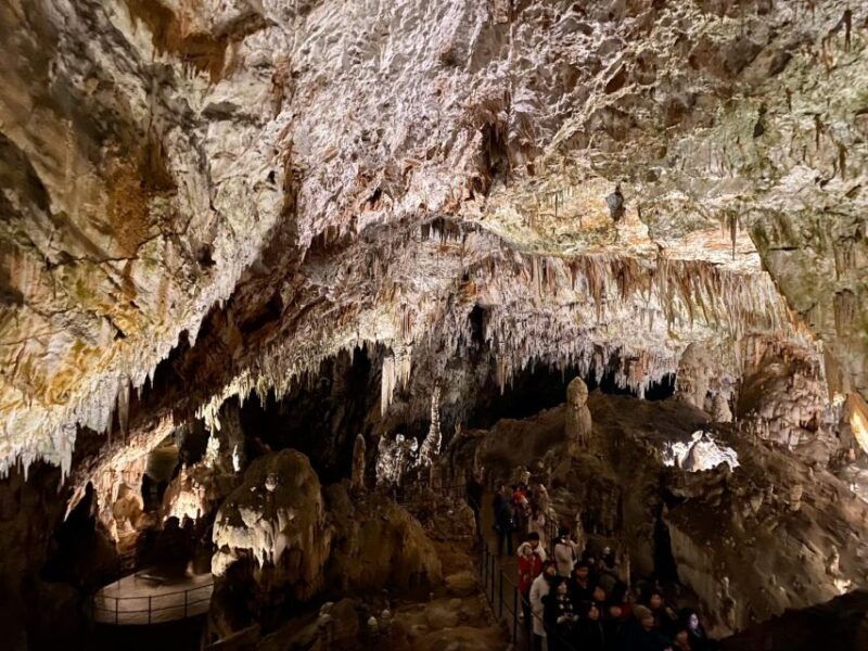 from-ljubljana-postojna-cave-day-trip