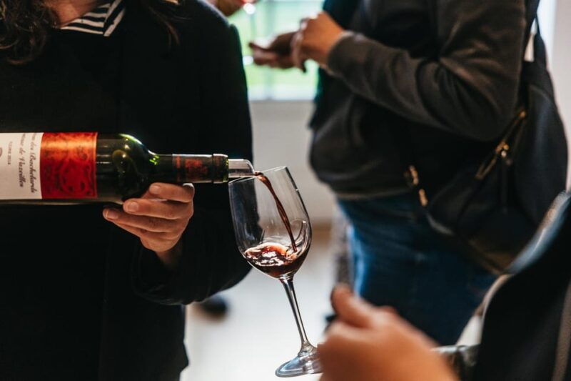 from-lyon-beaujolais-region-wine-tour-with-tastings