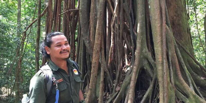 from-medan-4-day-tour-to-bukit-lawang-incl-jungle-trek
