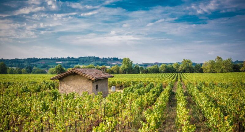 from-milan-full-day-in-franciacorta-2-wineries-lunch