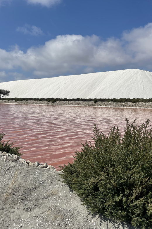 from-montpellier-camargue-and-salt-marshes-guided-tour