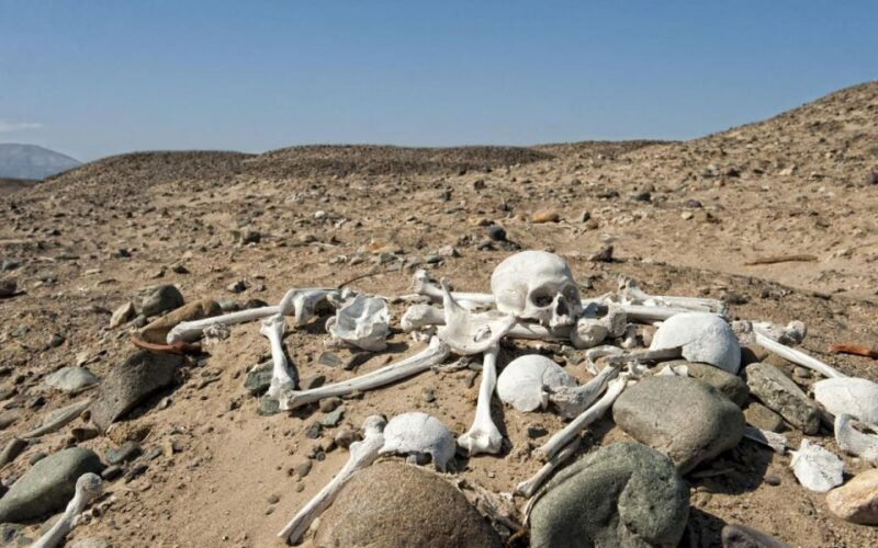 from-nazca-excursion-to-the-chauchilla-cemetery-2